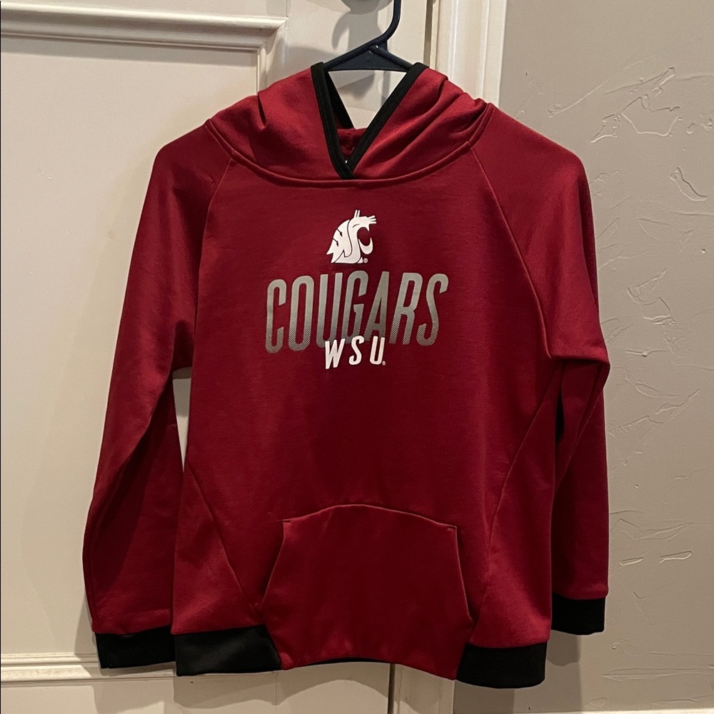 Youth Washington State Hoodie